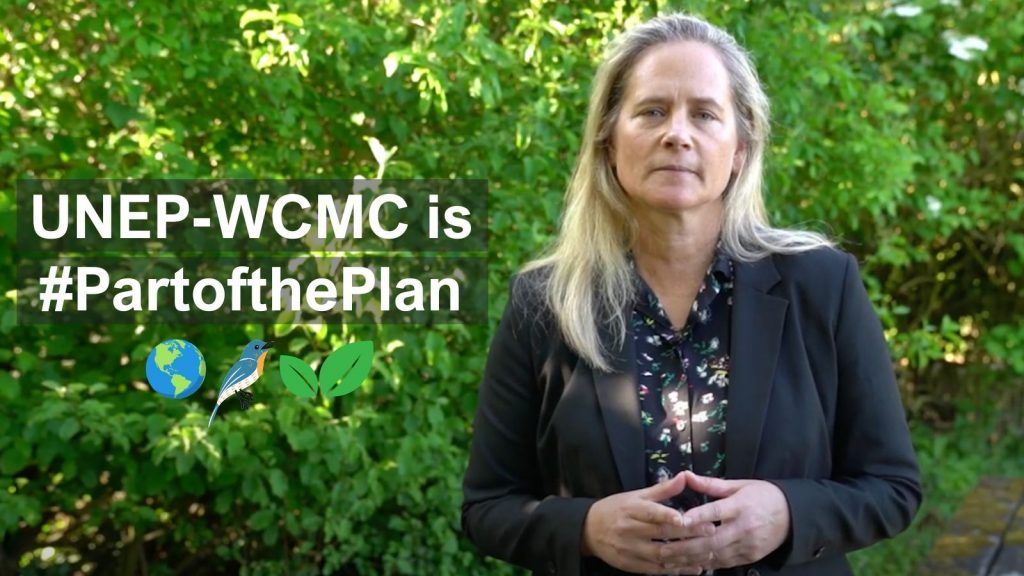 Being Part Of The Plan Unep Wcmcs Work To Support The Global