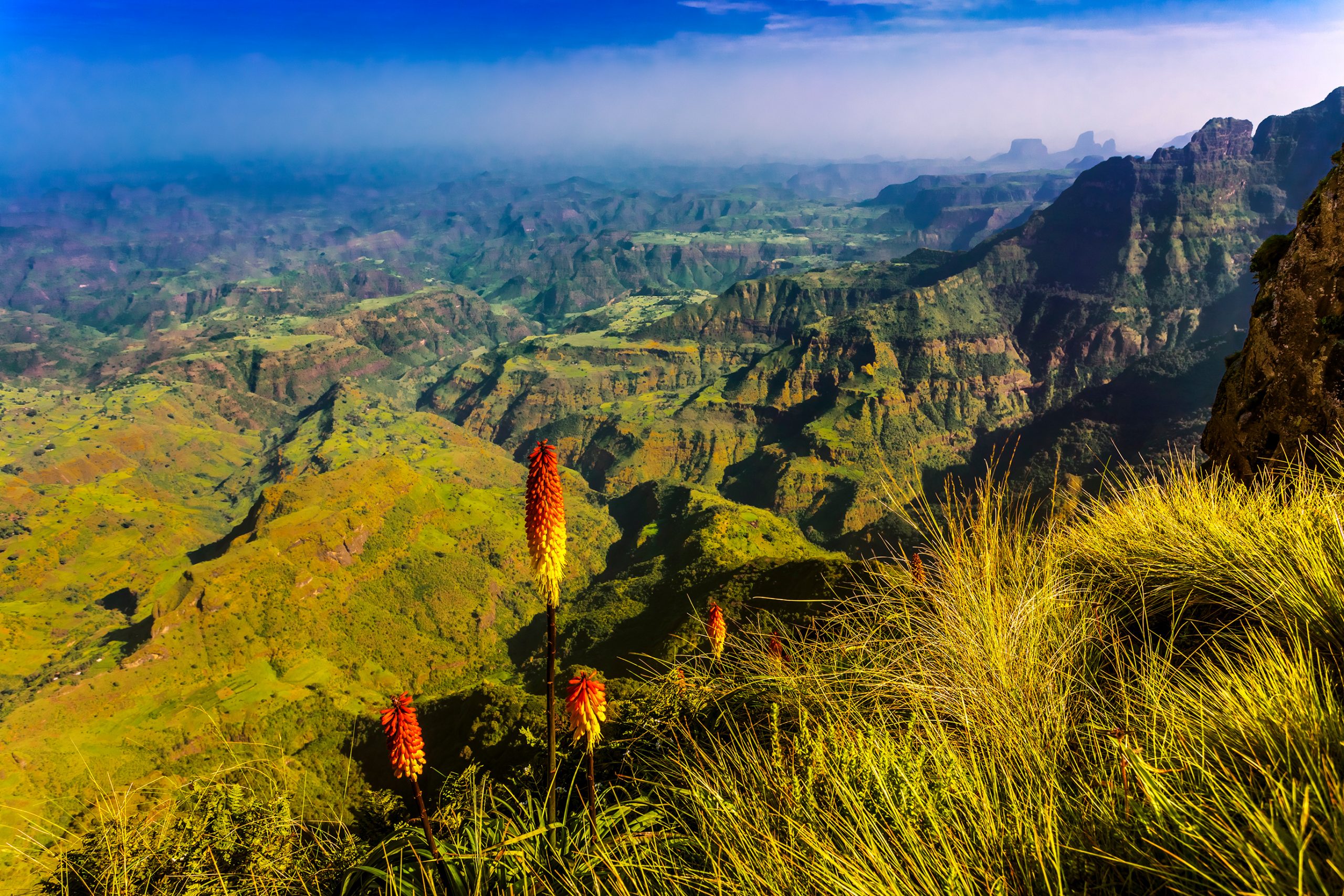 Ethiopia. Simien National Park. On the edge of cliff &#8211; there is Kniphofia in the foreground