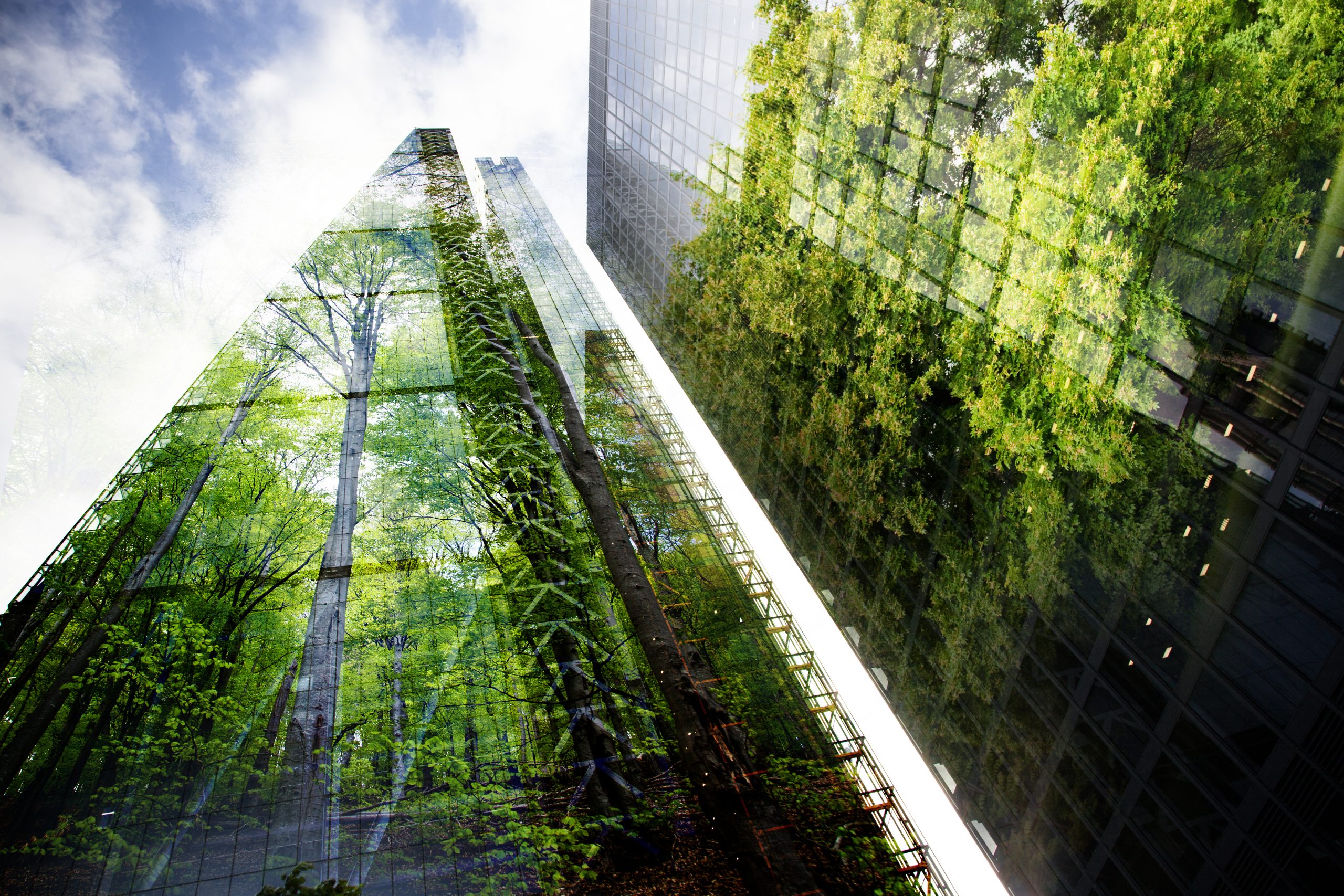 green city &#8211; double exposure of lush green forest and modern skyscrapers windows