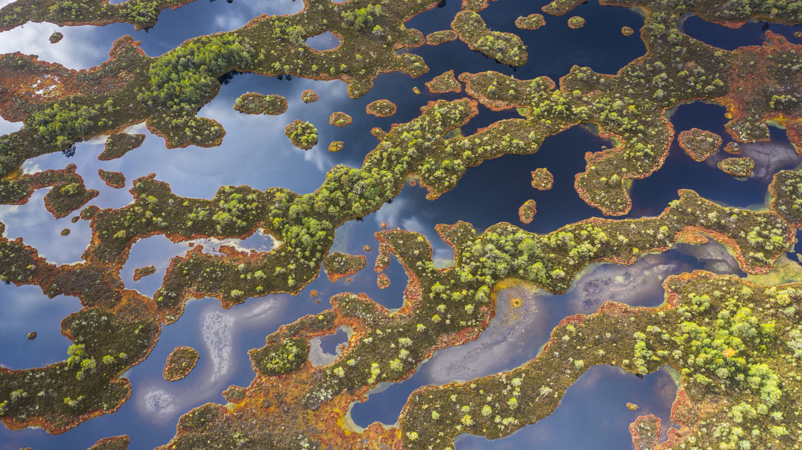 Aerial view over peat-bog landscape with the complex lake and  pool ridge patterns. in W-Estonia, Europe. Peatlands are important carbon deposits