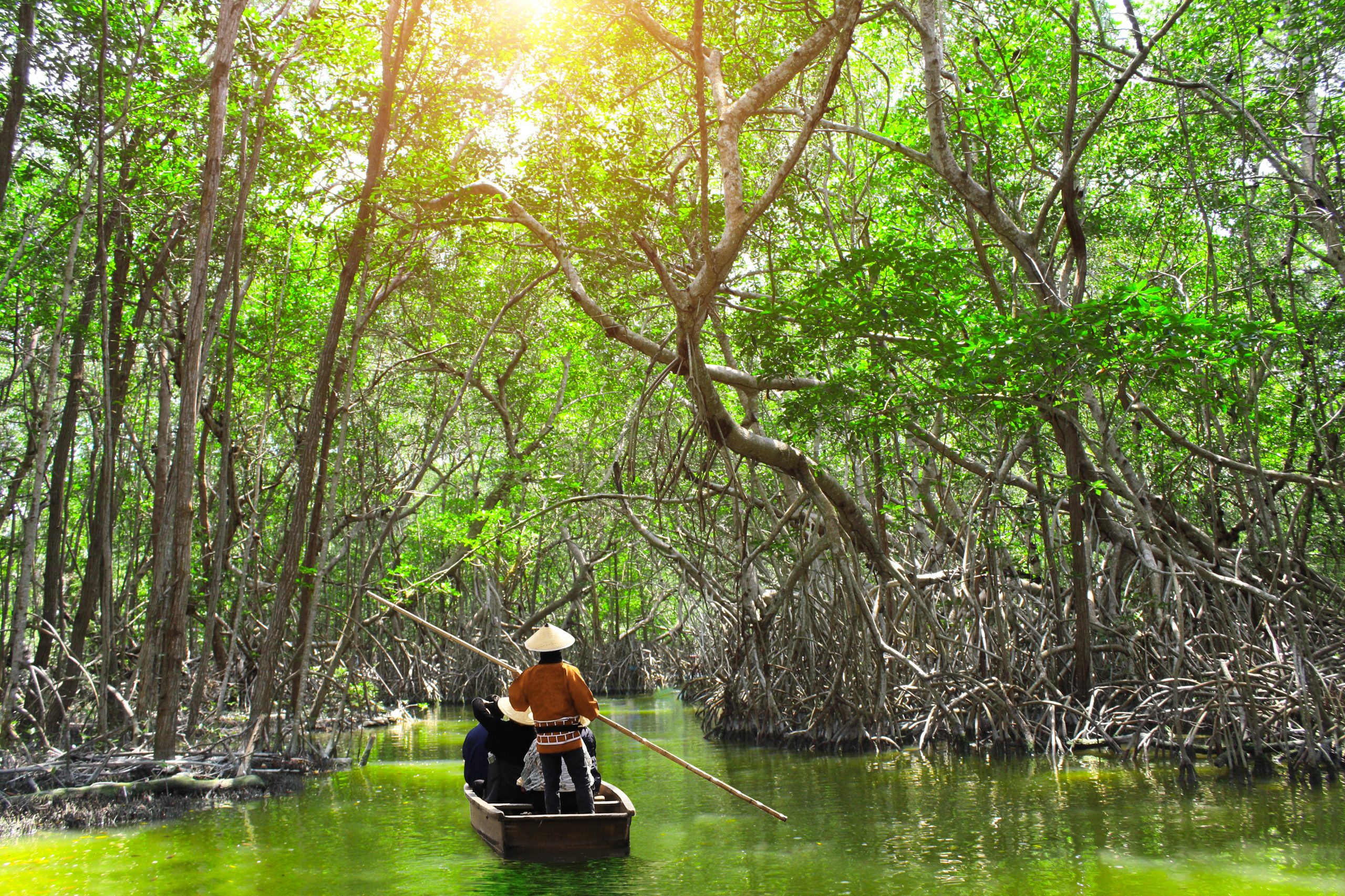 People boating in mangrove forest, Malaysia, Asia