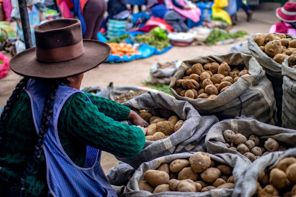 Indigenous woman selling potatoes in Cusco, Peru. Image: Adobe Stock / 259439057