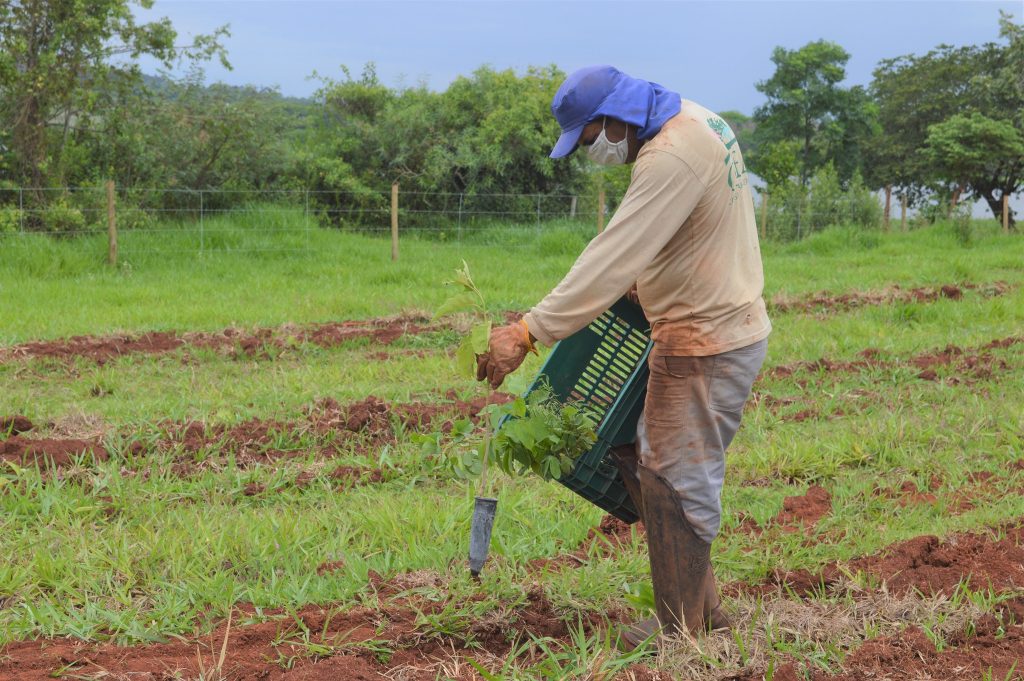 Planting seedlings as part of the Tietê Forests project ©WeForest