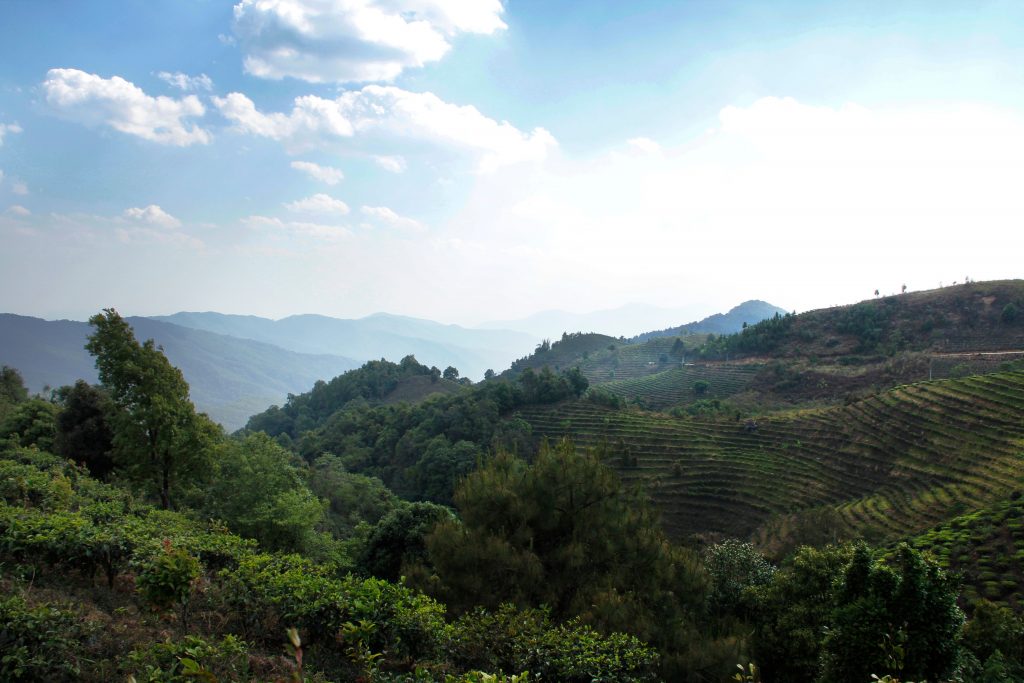 Xishuangbanna landscape, China 