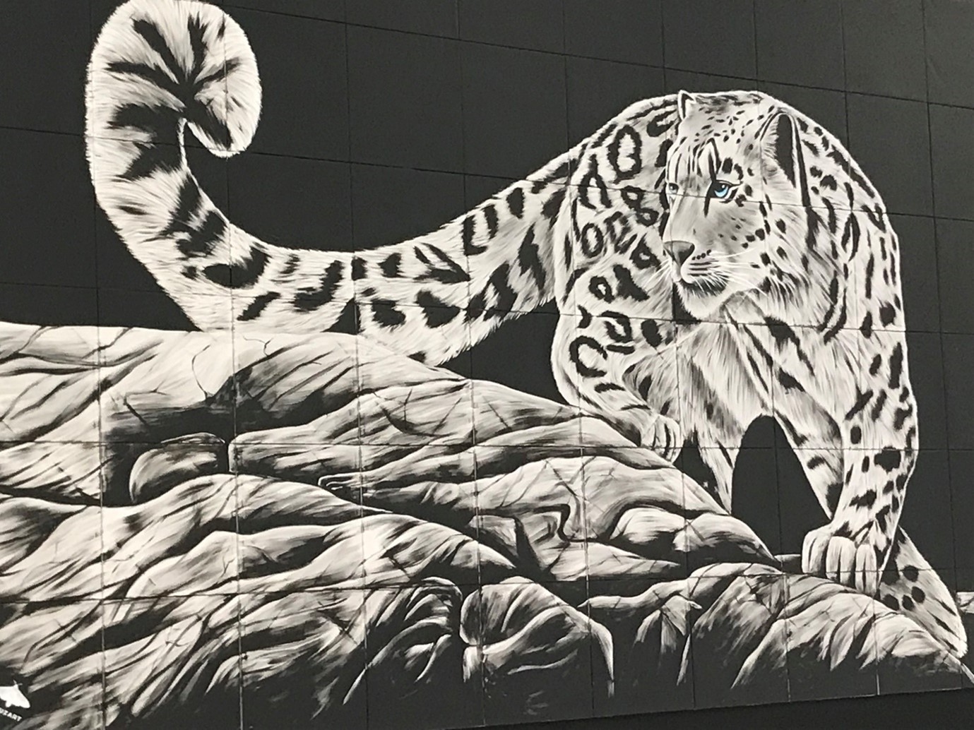 Painting of a snow leopard at CMS COP14