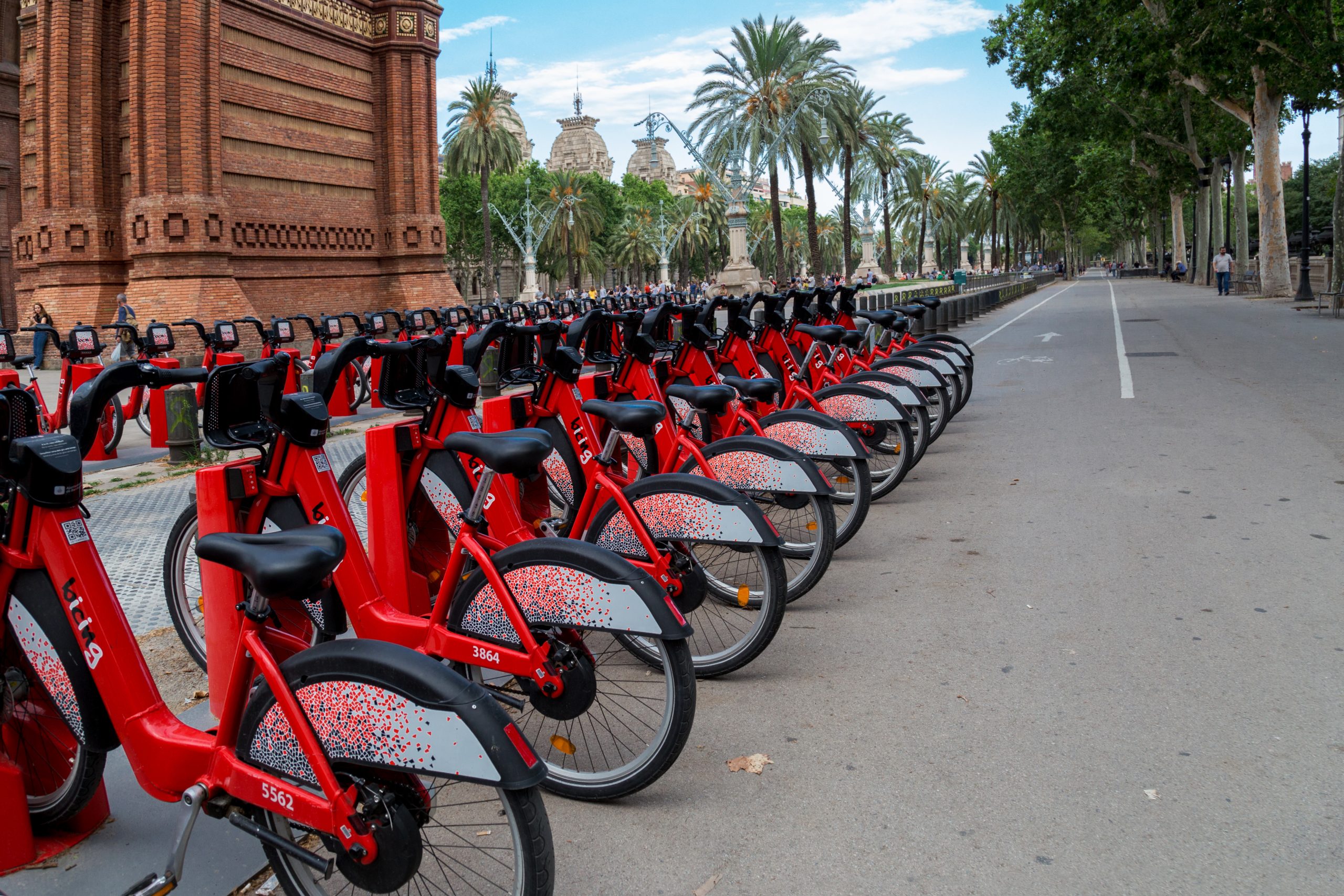 Bicycles available for rent near a tree-lined cycle path in Barcelona