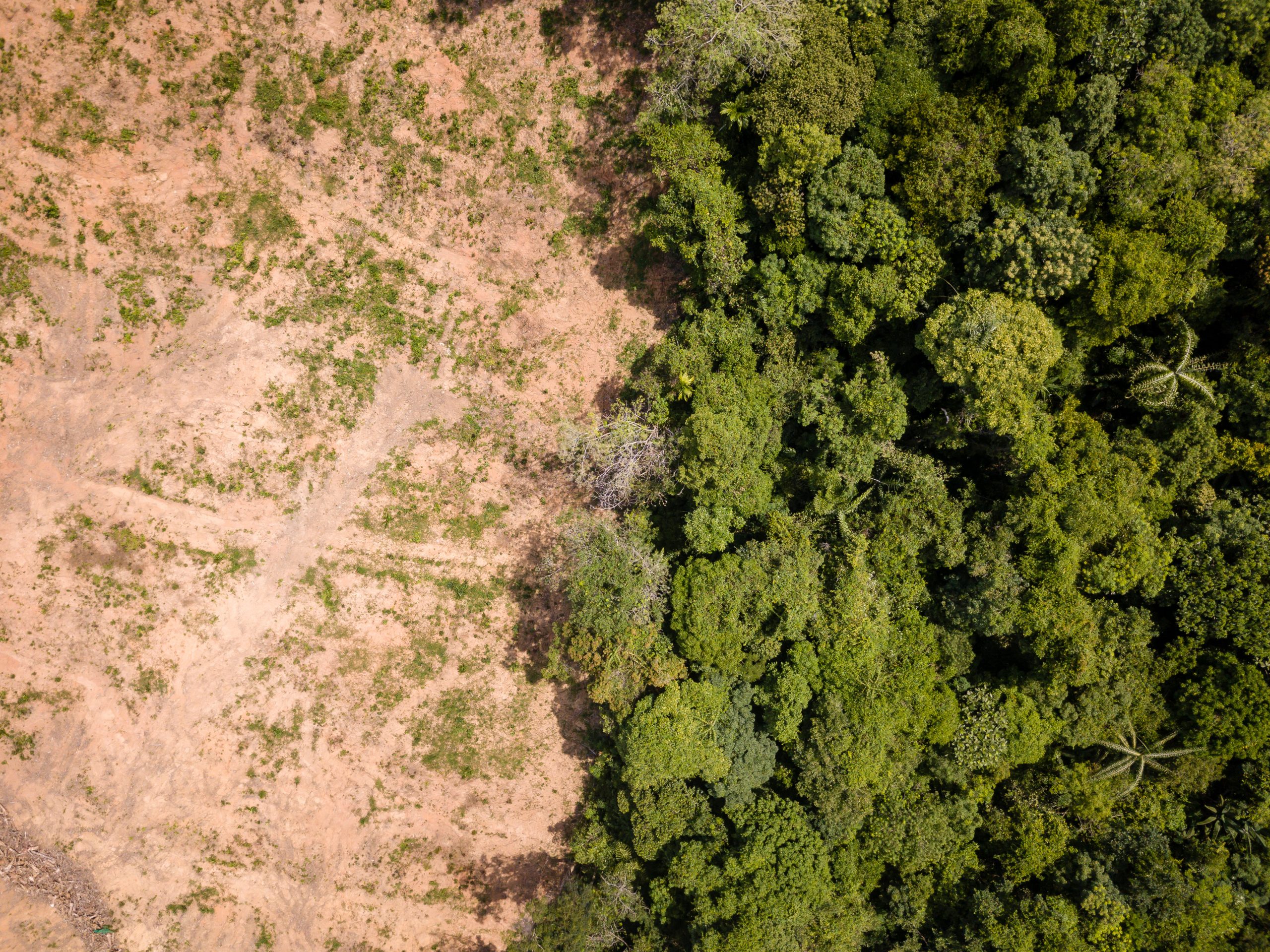 Aerial view of deforestation of a tropical rainforest