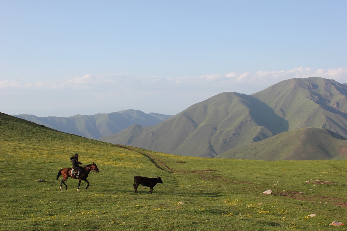 Man on horseback with mountains in the background, Brett Wilson