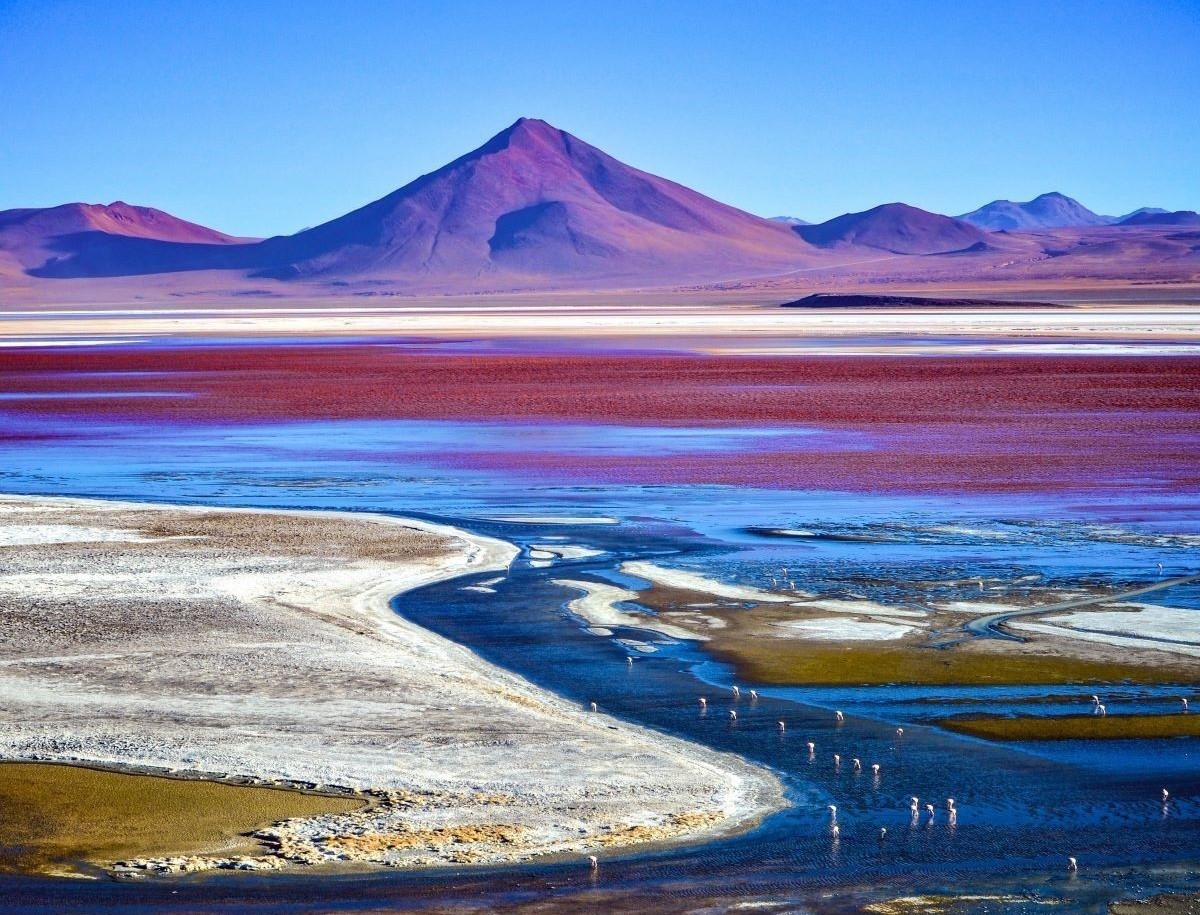 A lagoon with flamingos in the foreground and mountains in the background