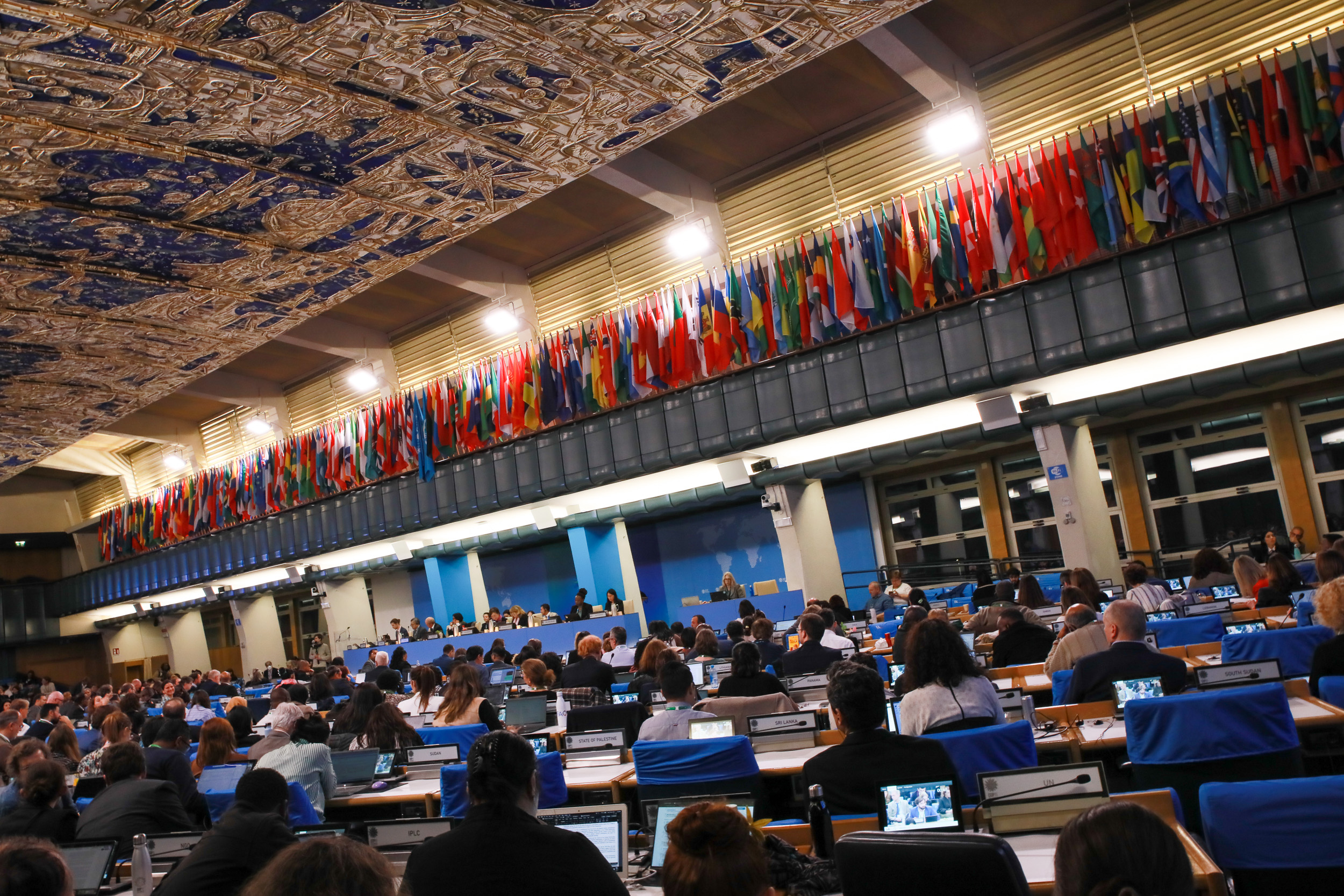 A large conference room with many people seated and a display of countries' flags on the wall