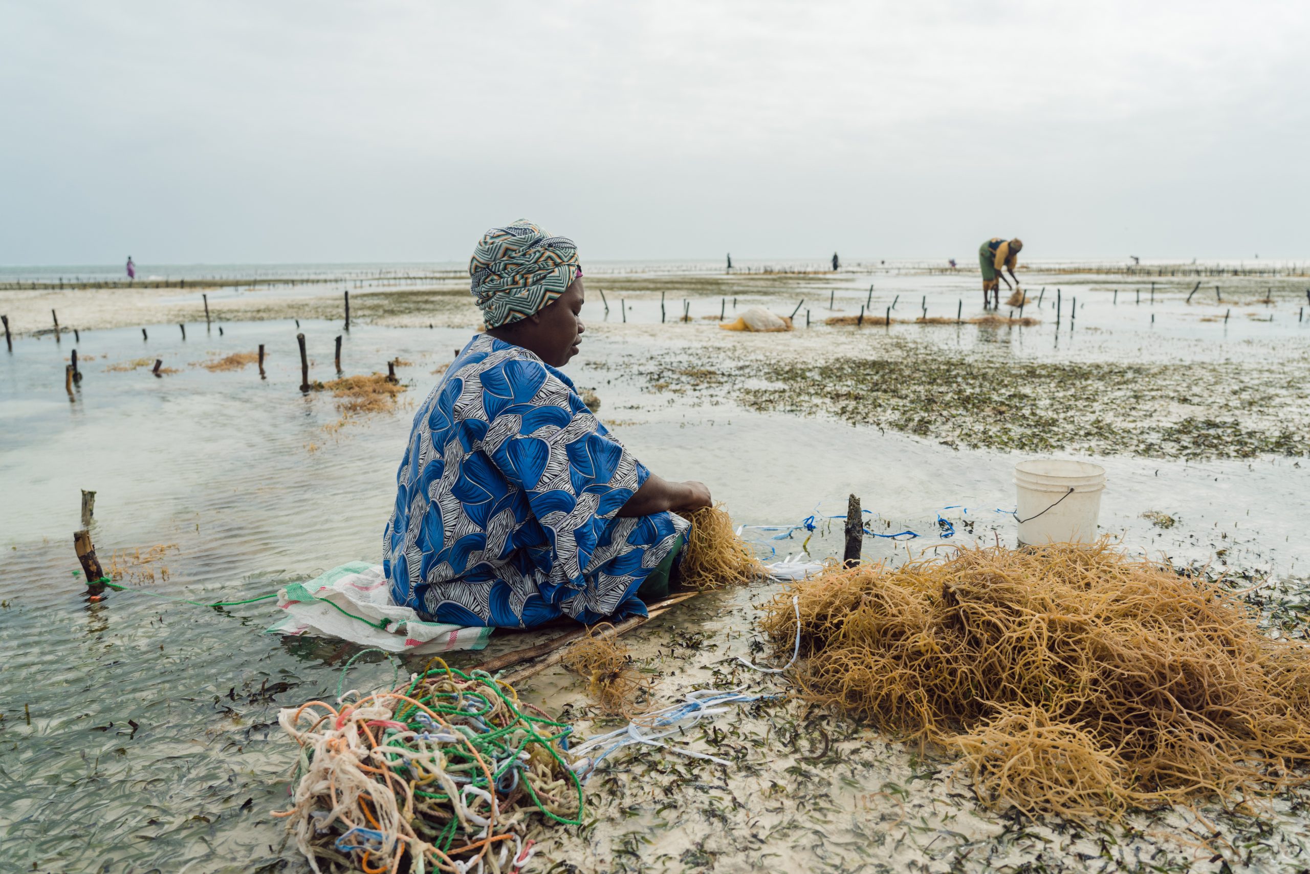 A woman sits on the seashore surrounded by seaweed and rope