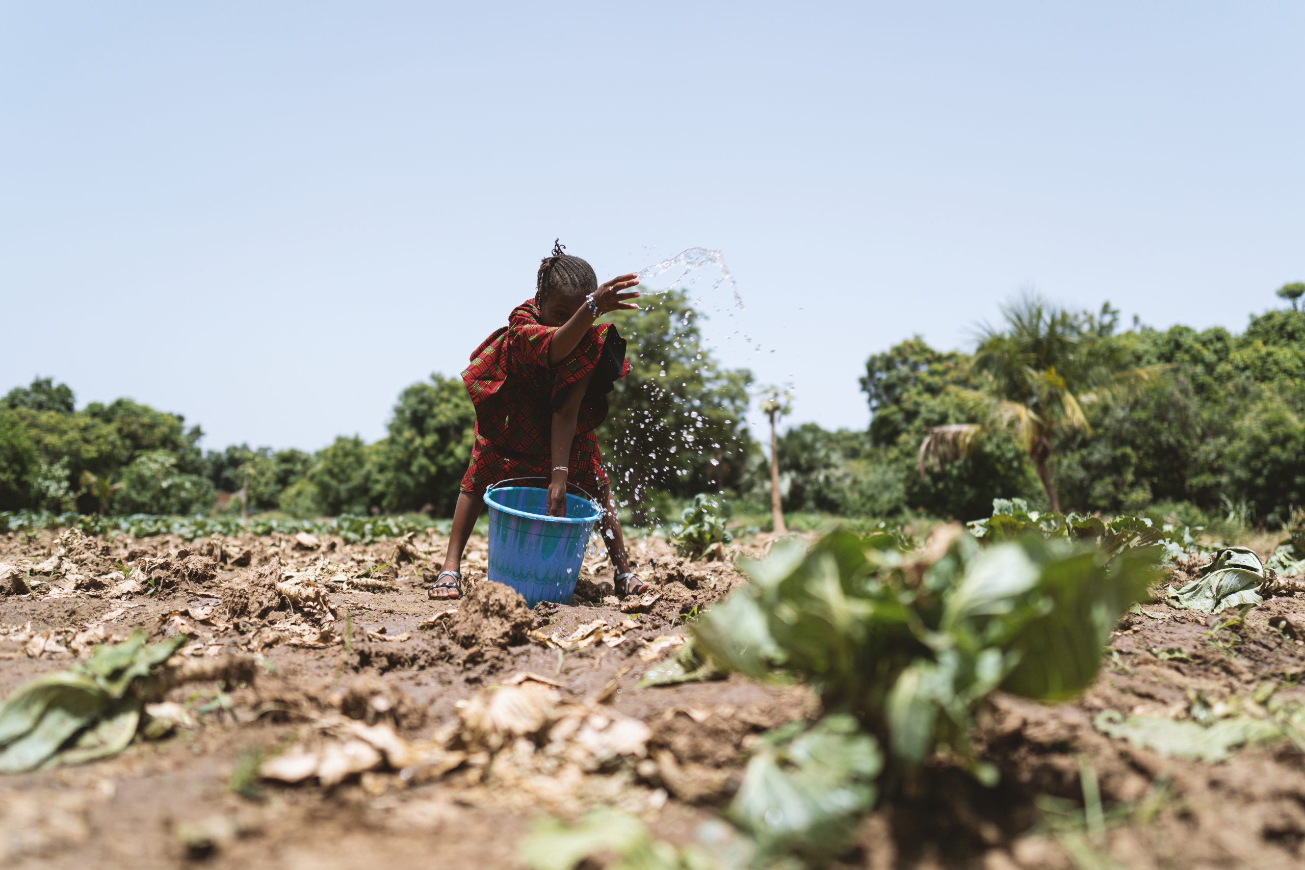 A girl watering scattered plants in an arid landscape
