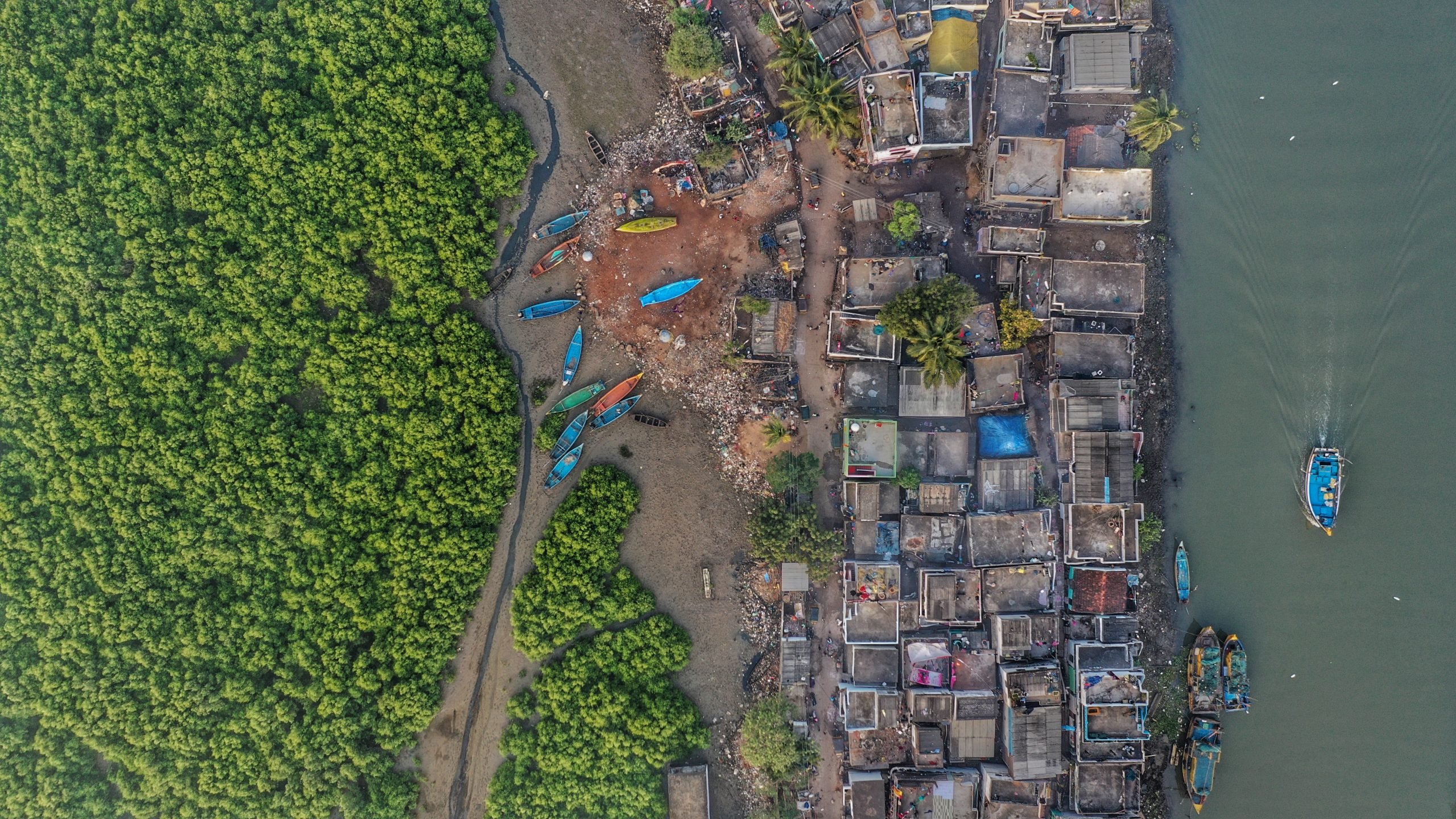 Aerial shot of a mangrove next to a town