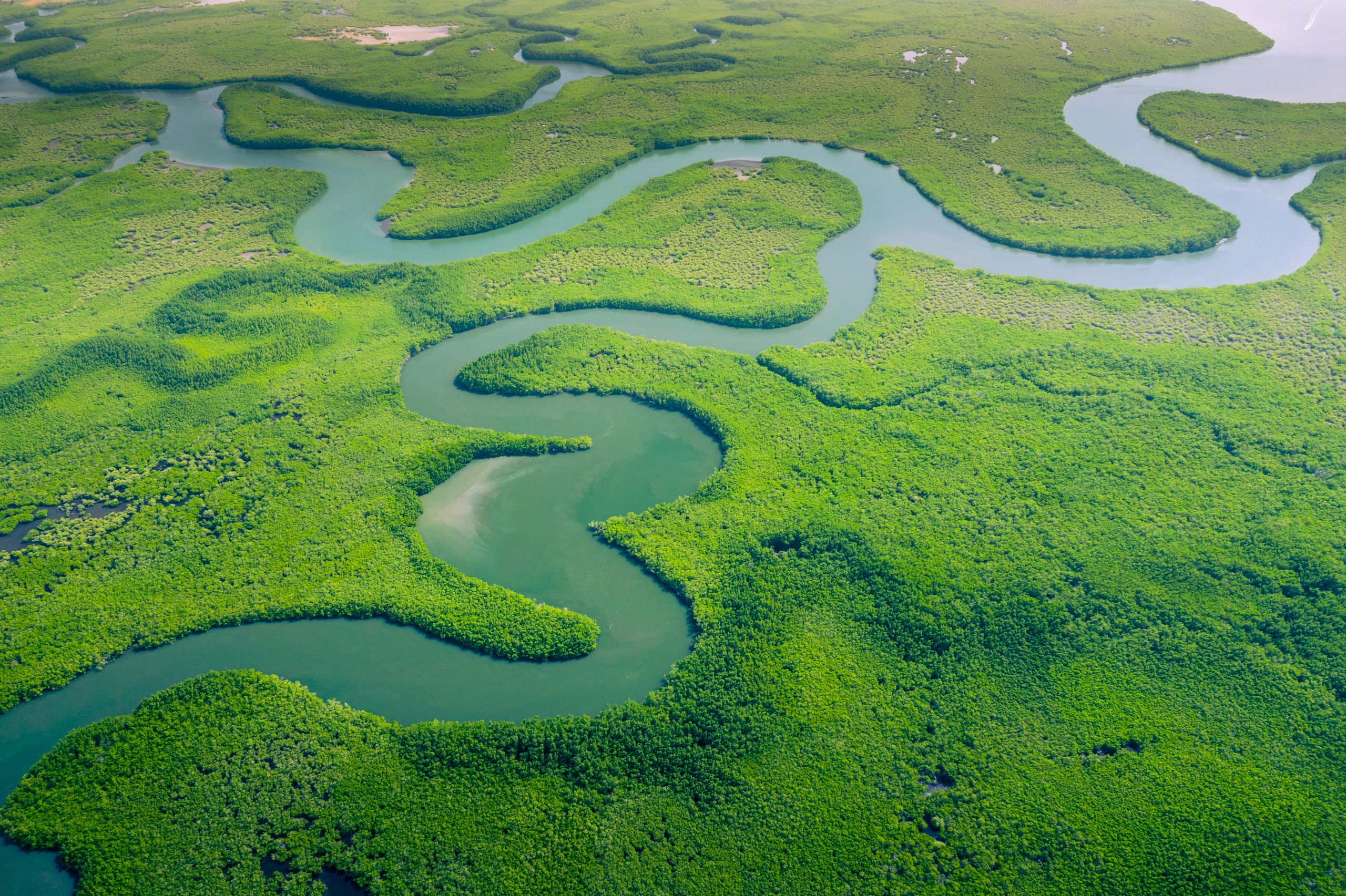Aerial view of Amazon rainforest in Brazil, South America. Green forest. Bird&#8217;s-eye view.