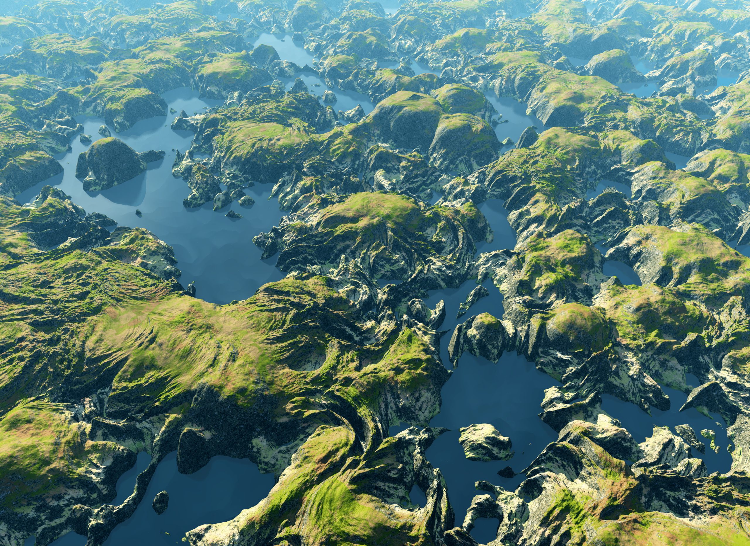 Amazon river bird’s eye view