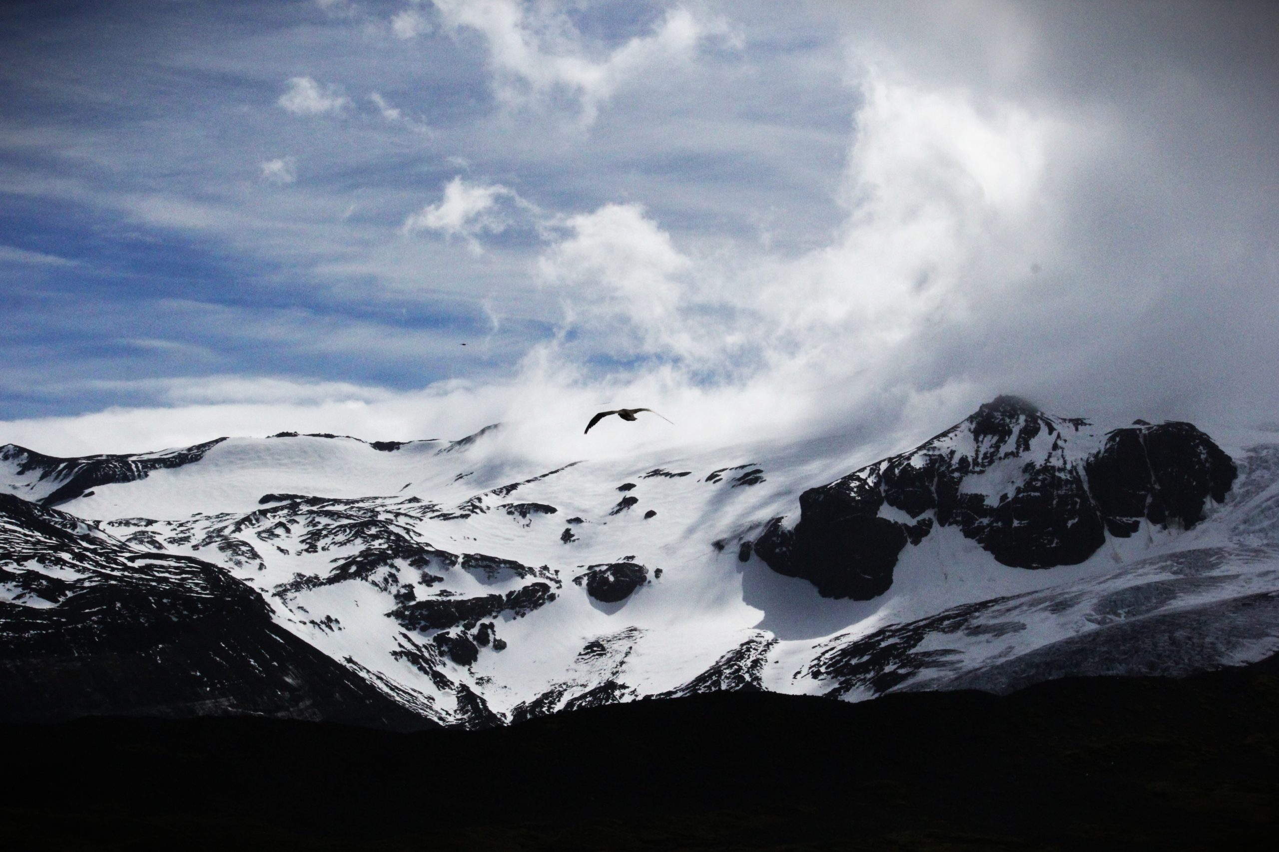 A bird flying over snowy mountains © Mel Wells