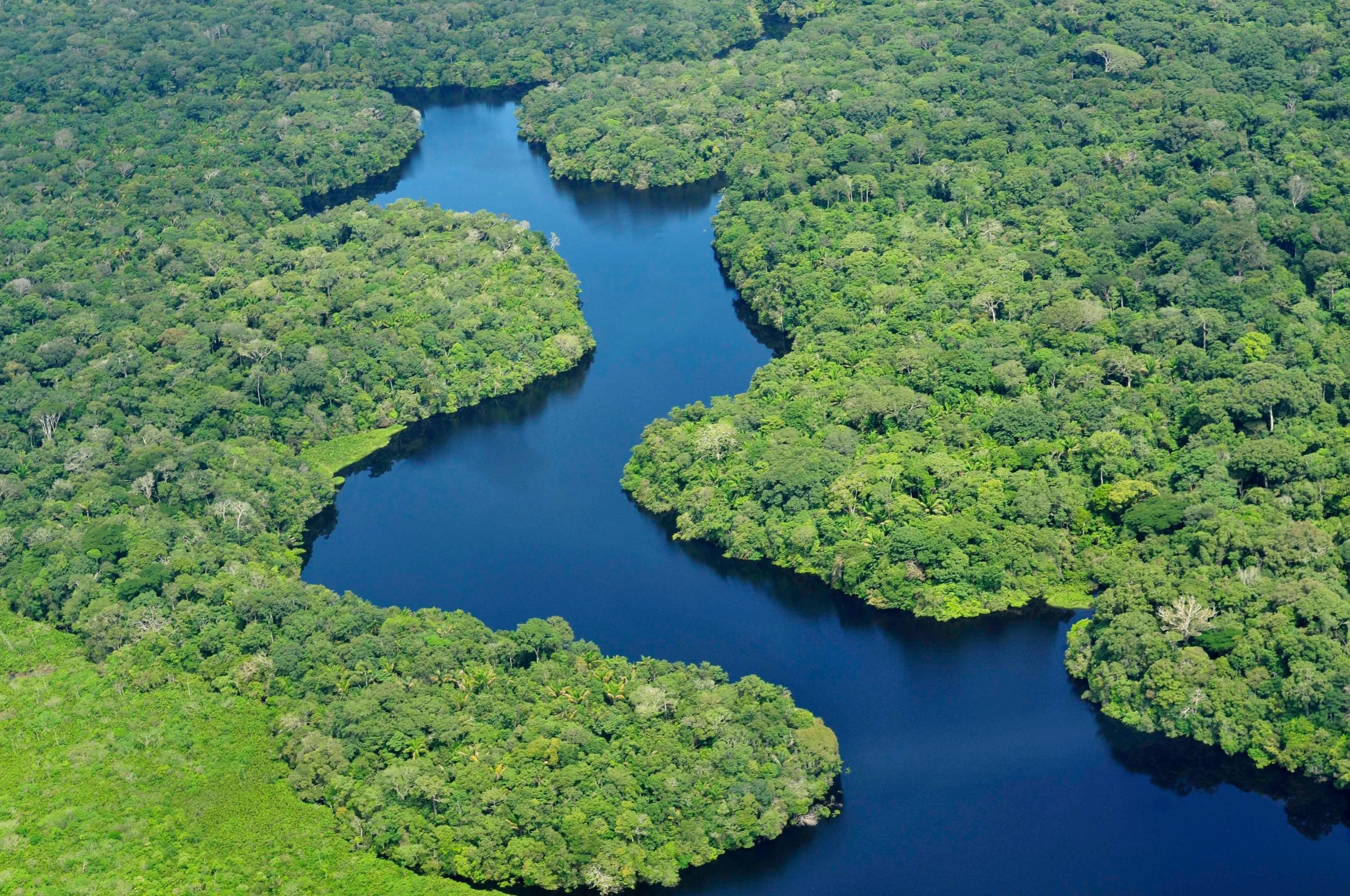 Novel study published on international trade of wildlife in Amazon