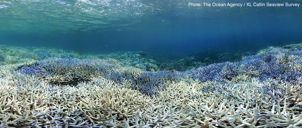 Governing A Connected Ocean - UNEP-WCMC