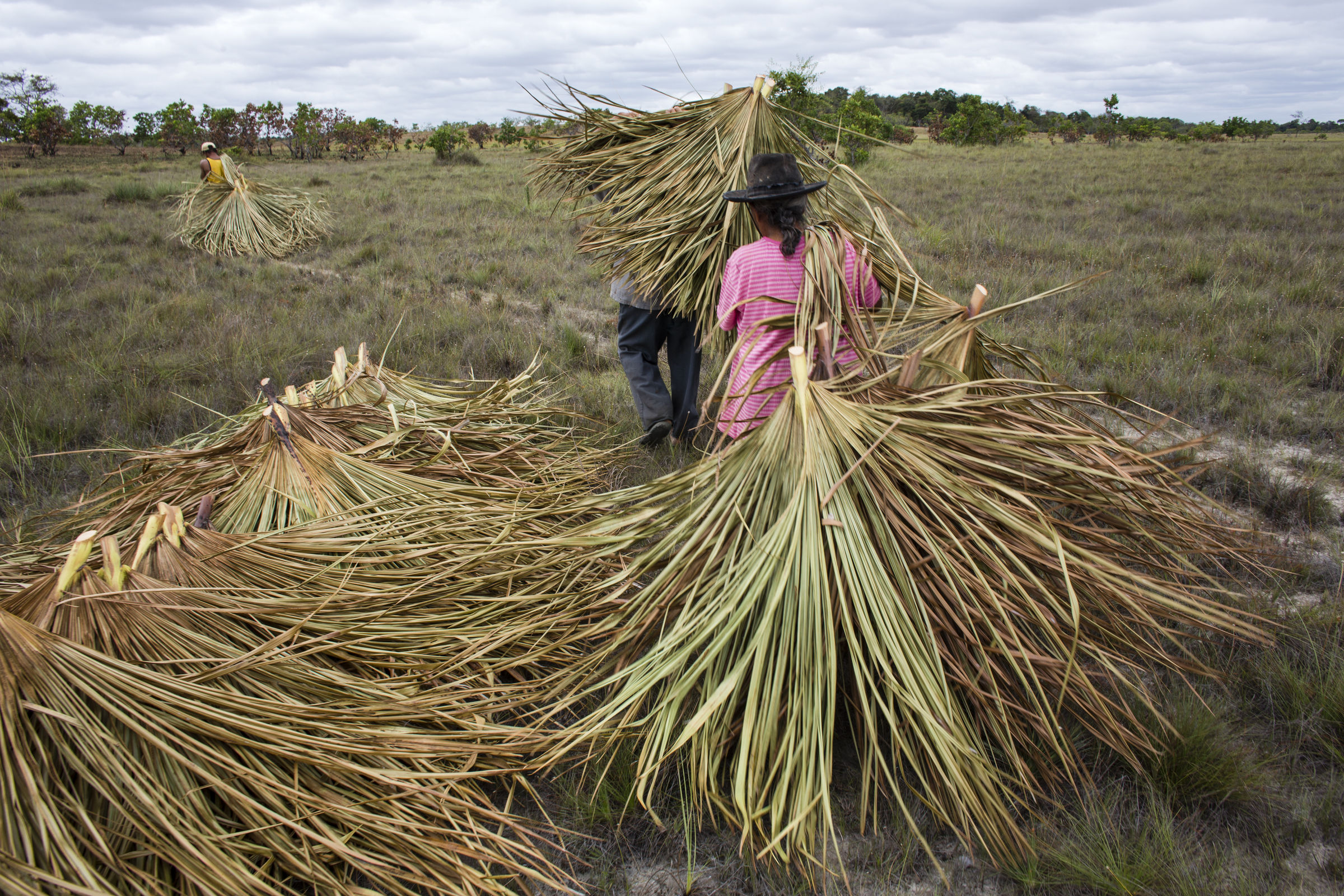 Protecting And Promoting Traditional Knowledge On UN Indigenous Peoples ...