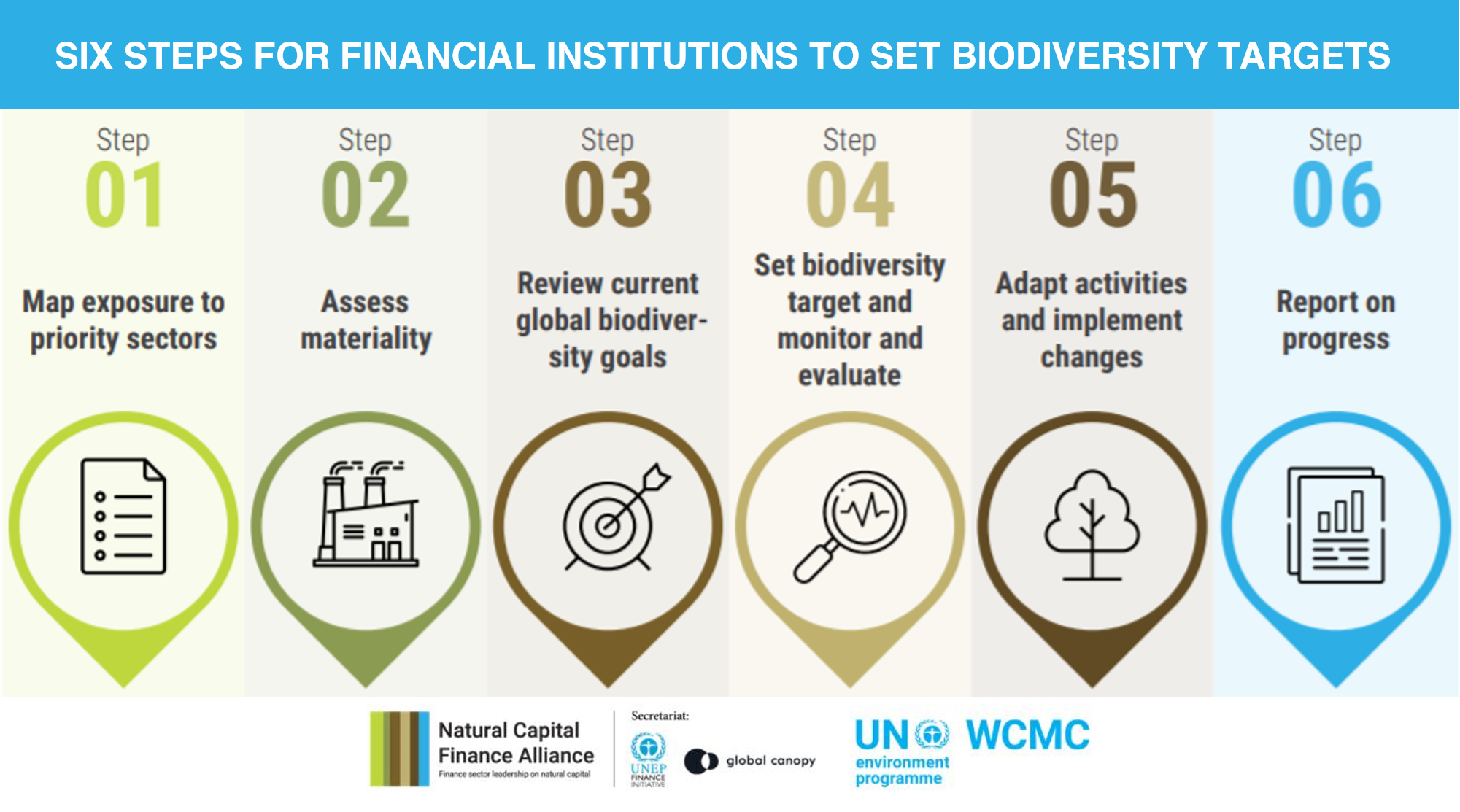 Six steps for financial institutions to set biodiversity targets UNEP