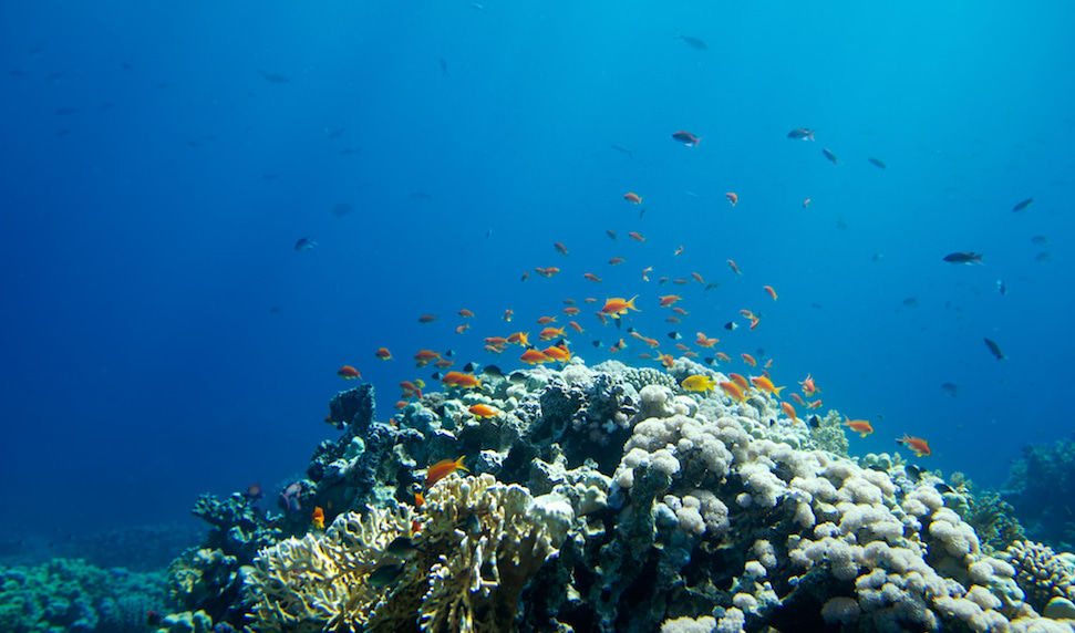 Global shift in marine protected area analysis and reporting - UNEP-WCMC