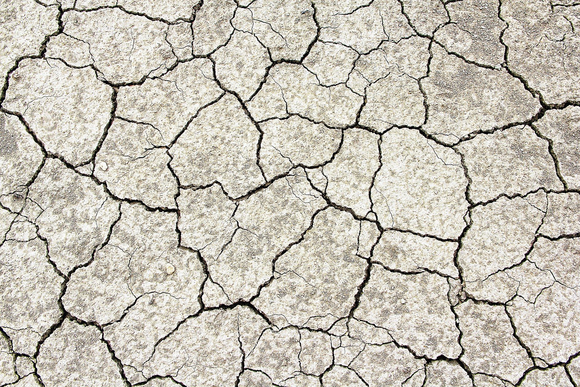 Combating land degradation through reforestation - UNEP-WCMC