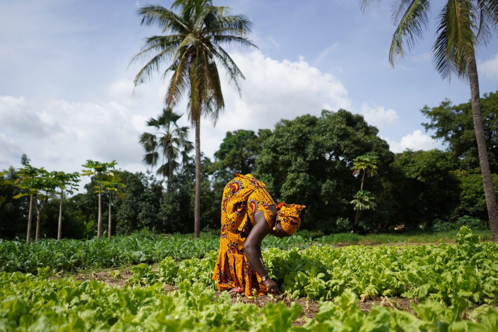 Our sustainable future depends on gender equality - UNEP-WCMC