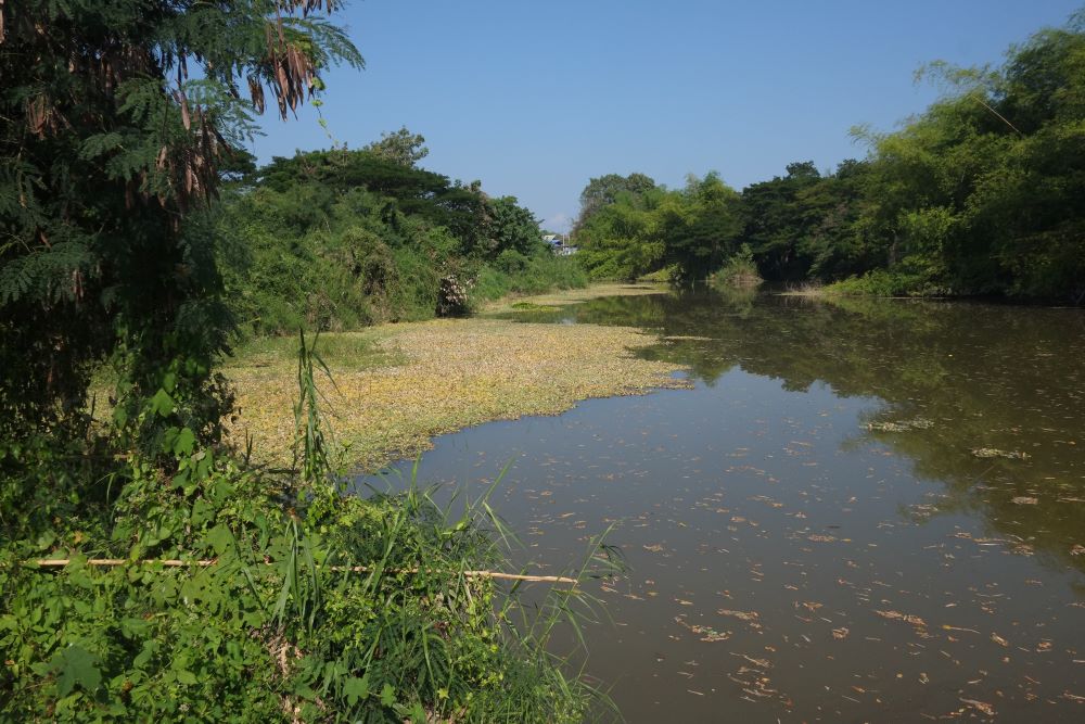 Lessons for ecosystem-based adaptation along Thailand’s changing rivers ...